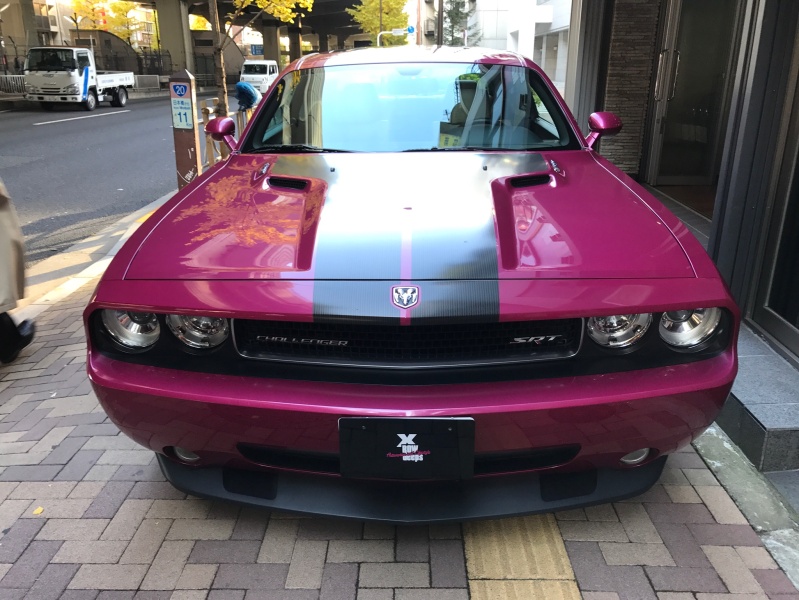 ダッジ チャレンジャー SRT8 世界限定400台FURIOUS FUCHSIA 中古 ダッジ チャレンジャー SRT8 世界限定400台FURIOUS FUCHSIA 中古